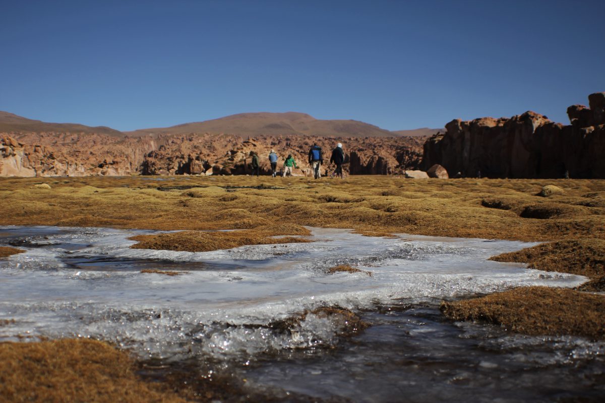 bolivia national park uyuni tour