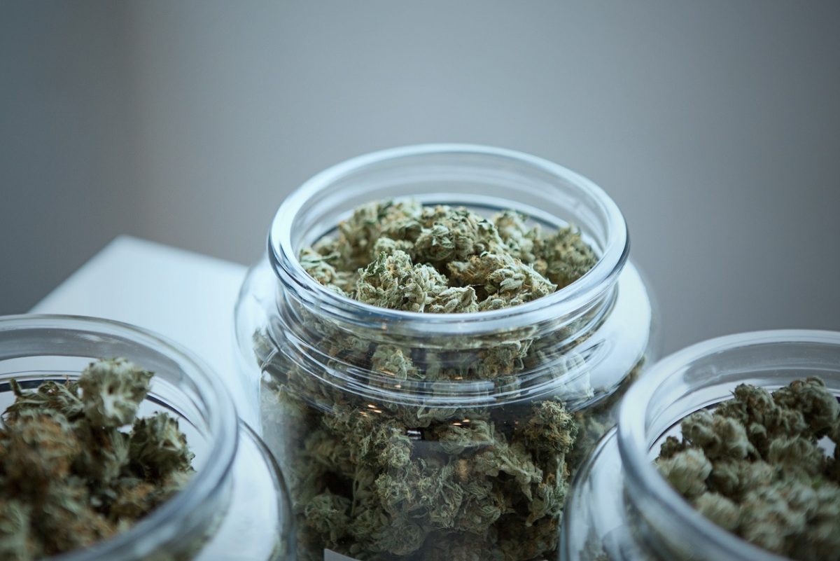 weed jars cannabis marijuana