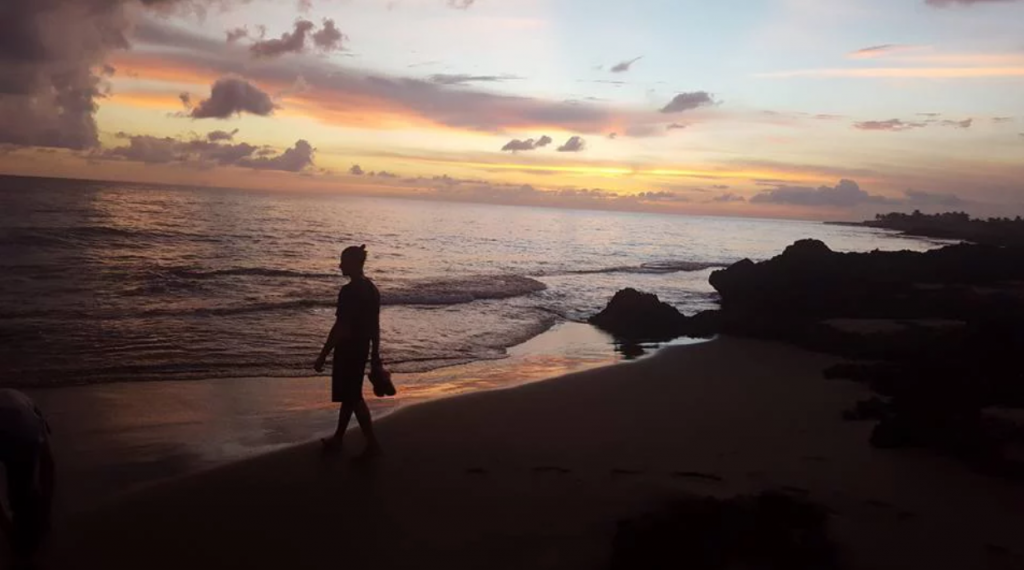 jamaica beach myco meditations