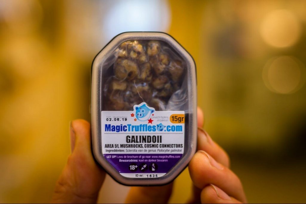 magic galindoi psilocybin truffles 15g packet