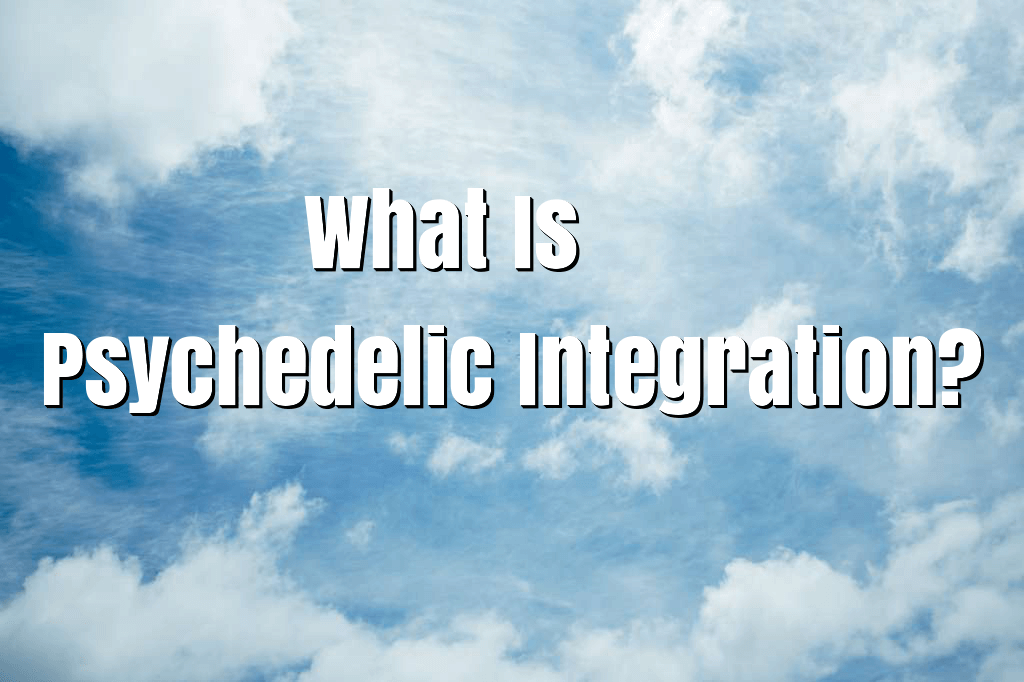 what is psychedelic integration