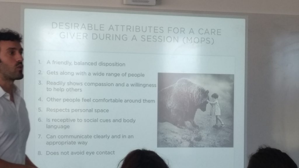 marc tripsitting attributes of caregiver