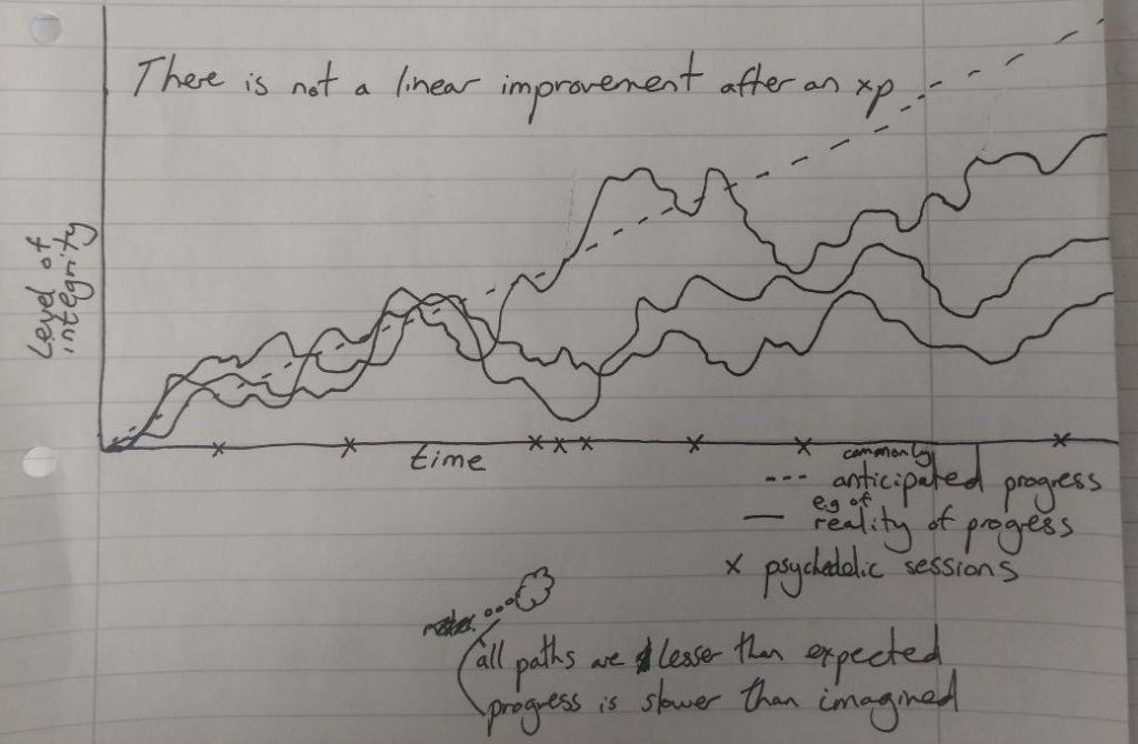 psychedelic integration journey progress graph