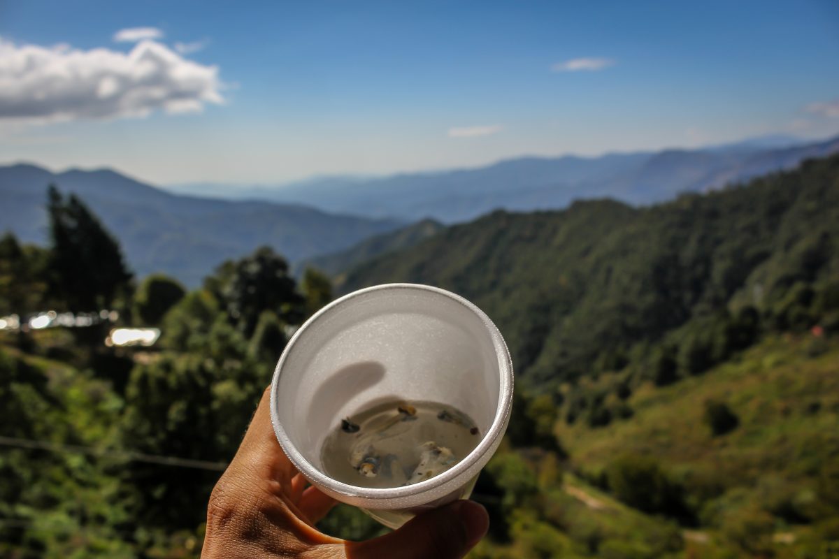 shroom magic mushroom tea