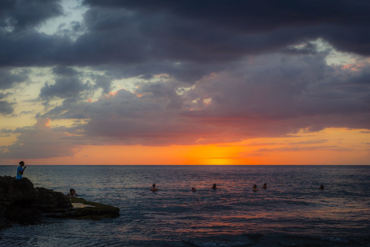 jamaica mycomeditations sea landscape shrooms