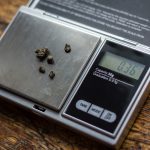 psilocybin magic truffles microdose scales