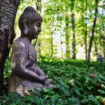 buddha statue forest