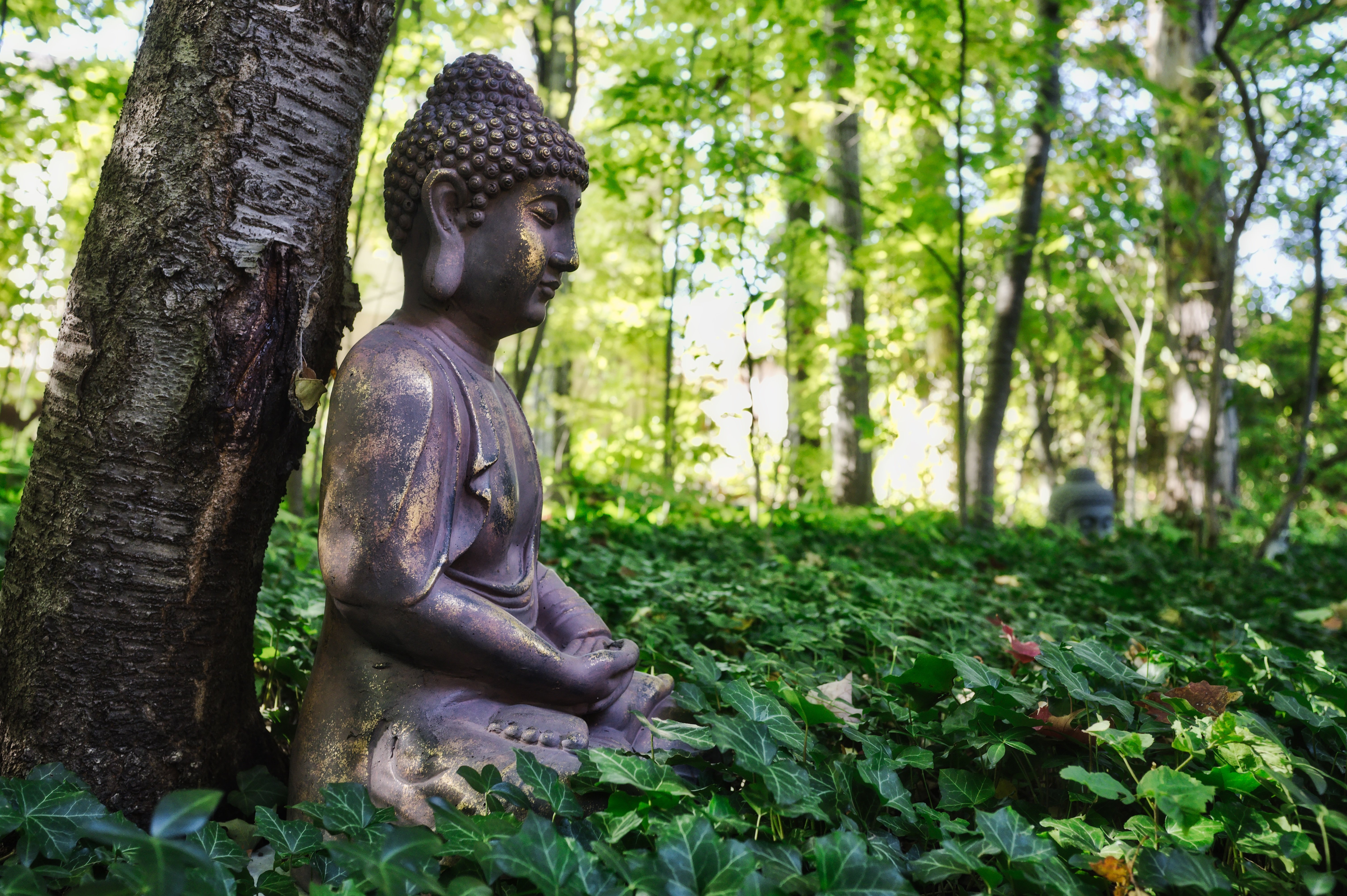 buddha statue forest