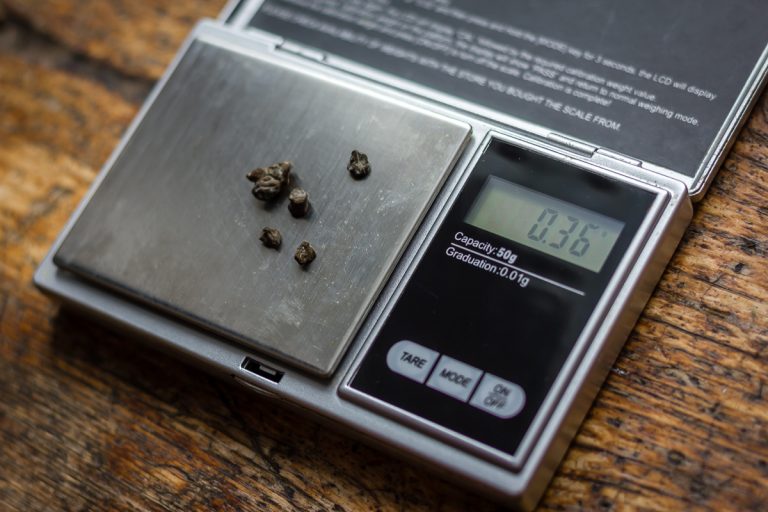 psilocybin magic truffles microdose scales