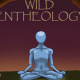 wild entheology podcast psychedelics